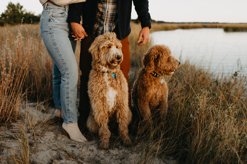Engagement photos at pleasure house point. Engagement photos with dogs. Virginia Beach Wedding photographer.